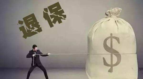 買的保險不想續(xù)保了能退嗎?