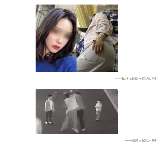 為什么不買保險(xiǎn)就不讓養(yǎng)狗？