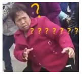 為什么不買保險(xiǎn)就不讓養(yǎng)狗？