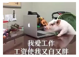 發(fā)生車禍如何快速理賠？