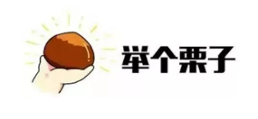 什么是年金轉(zhuǎn)換？