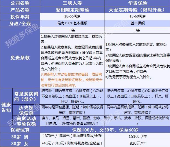 愛相隨定期壽險:2019最值得買的壽險