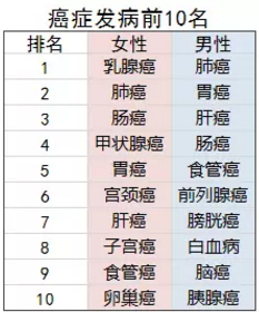 康惠保旗艦版值不值得購買？