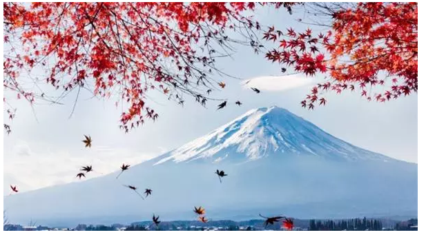 尊享e生值不值得購買？