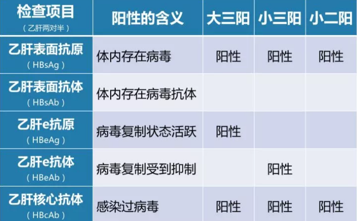 乙肝病毒攜帶者應該如何正確投保？