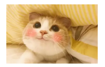 到底什么是保單貼現(xiàn)？