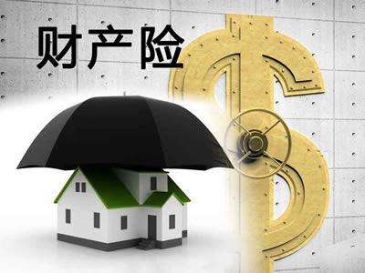 財(cái)產(chǎn)保險(xiǎn)的種類包括哪些？